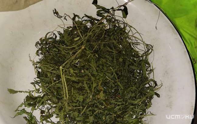 Амчанин нашел наркотики на рыбалке