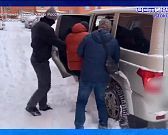 Жительница орлвоского региона обнаружила у себя на участке скелет необычного животного. Экспресс - новости.