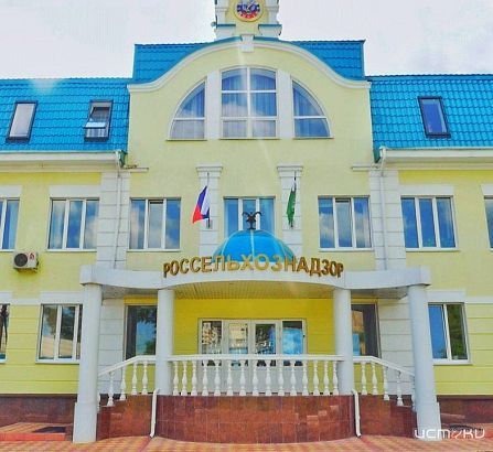 Огромное количество опасных продуктов обнаружили в Орловской области 