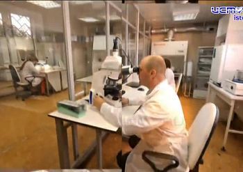 Экспертное мнение 19.11.2025