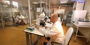 Экспертное мнение 19.11.2025