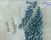 Экспертное мнение 20.03.2024