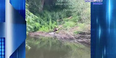 Дорога на Светлой жизни испытание дождем не прошла