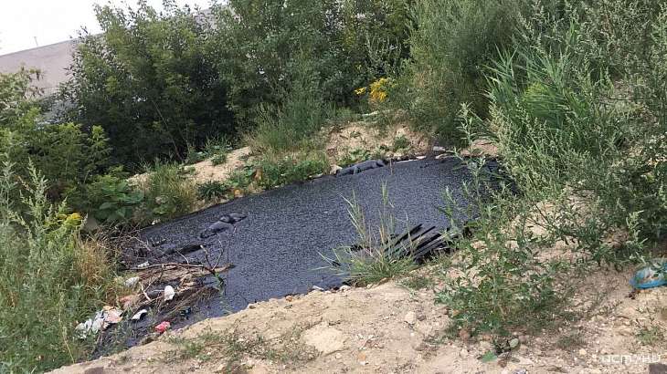 Орловчанка рассказала жуткую историю о собаках, утопленных в котловане со смолой