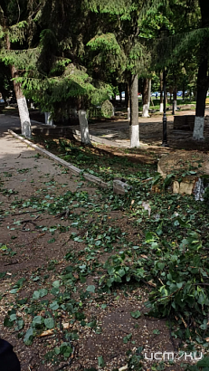 Мэрия прокомментировала спил деревьев в сквере Бунина 