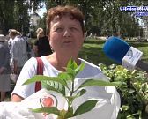 Буйство цветов и красок1723022047