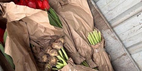 Орловчане фотографируют кучи цветов, не проданных на 8 марта