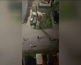 Видео: 20 человек с палками устроили массовую драку в Орле