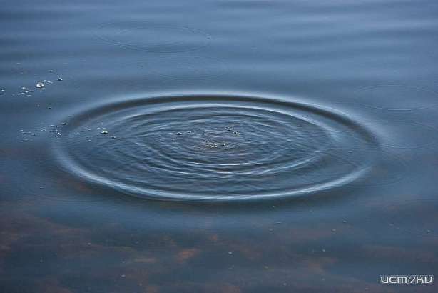 В Орле при невыясненных обстоятельствах утонул восьмилетний ребенок