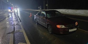 Под Орлом машина насмерть сбила пожилого пешехода