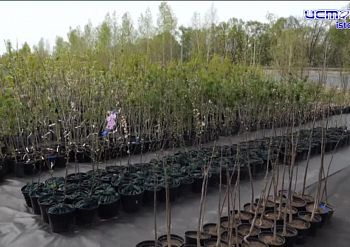 Экспертное мнение 07.05.2025 Экспертное мнение 07.05.2025