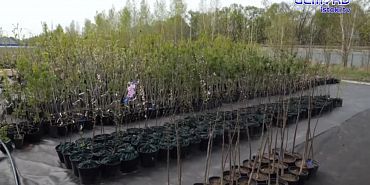 Экспертное мнение 07.05.2025