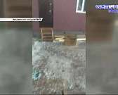 «Зеленая роща» уехала с улицы Линейной, а экс-преподавателя ОГУ осудили за производство «синтетики». Новости за 90 секунд