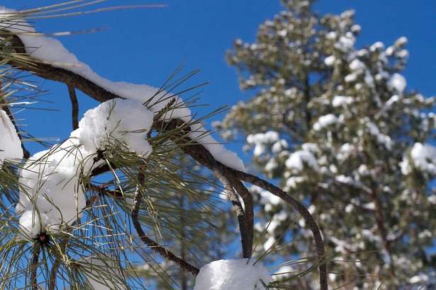 Сегодня в Орле облачно с прояснениями