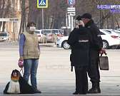 Мы вошли в коронавирусные ограничения. Как работают предприятия сферы ЖКХ, и куда сейчас обращаться, если у вас, например, протекла труба?