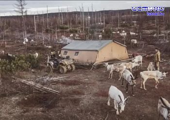 В объективе - событие В объективе - событие