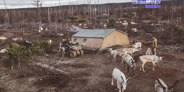 В объективе - событие