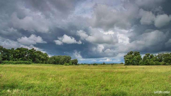 Сегодня в Орле будет пасмурно и дождливо