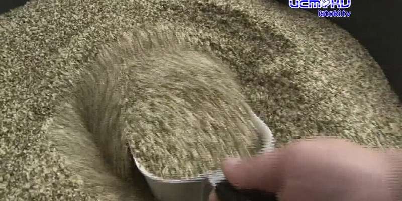 В Орле начали выпускать из семян конопли продукты для здорового питания