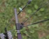 Мария Виноградова готовится завершить сезон на мажорной ноте