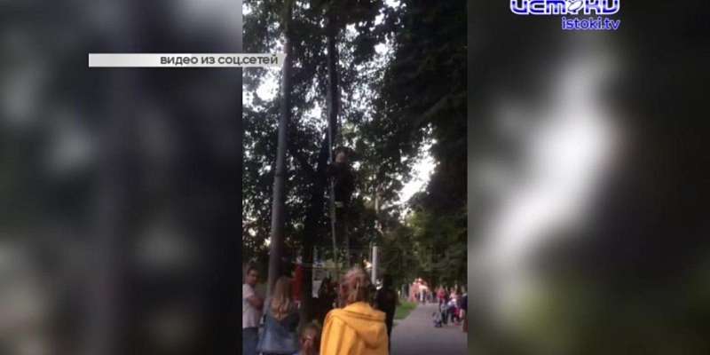 В Орле случилось очень дорогое ДТП, а в центре города развернулась спецоперация по спасению кошки