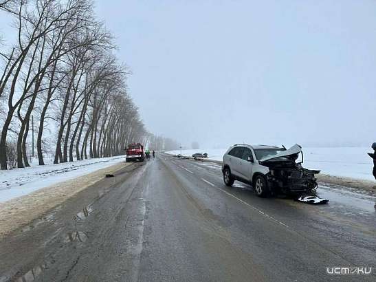 Два человека погибли в аварии на трассе под Орлом