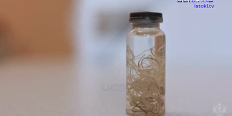 Как правильно выбрать рыбу: советы от эксперта Роспотребнадзора