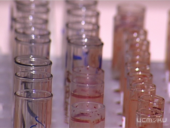 Новости за 90 секунд: на главу Заводского района завели уголовное дело, 114 новых случаев ВИЧ зафиксировано в нашей области в этом году и орловчане снова посоревнуются в мастерстве лепить снеговиков