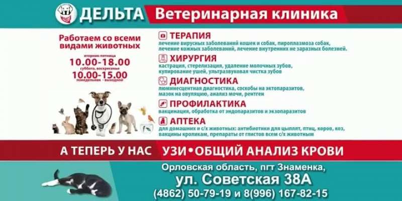 Ветеринарная клиника «Дельта» - залог здоровья ваших питомцев