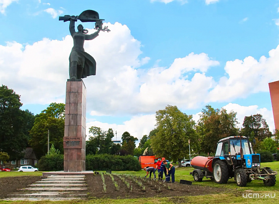 В Орле работники "Спецавтобазы" высаживают лаванду