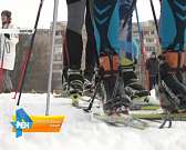 В Медведевском лесу прошёл чемпионат области по лыжным гонкам