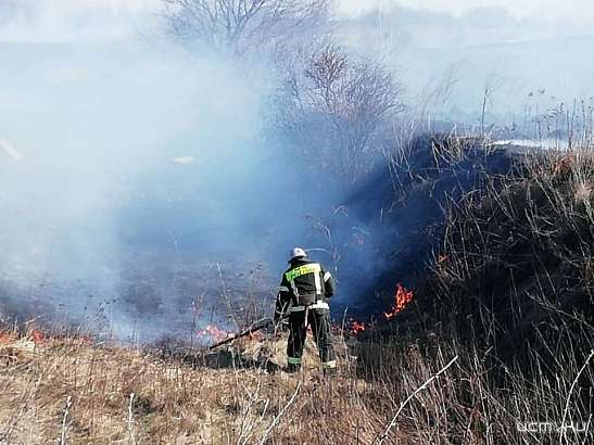 В Орле зафиксирован первый случай загорания сухой травы
