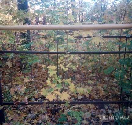 Во время тихого часа двое мужчин пытались обворовать детский сад в Орле Во время тихого часа двое мужчин пытались обворовать детский сад в Орле