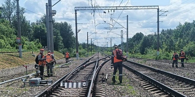 Железнодорожники освободили от сорной растительности более 110 га полосы отвода железной дороги в Орловской области