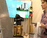 Экологический туризм или новый облик российской деревни