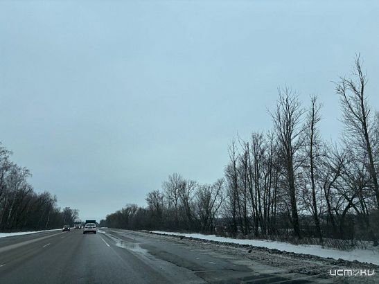 В Орловской области бывший эксперт казенного учреждения осужден за коррупцию