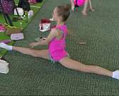 В Орле завершился первый межрегиональный турнир по художественной гимнастики на призы Юлии Бравиковой "Феникс".