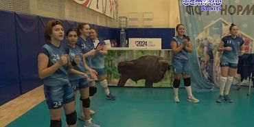 Как прошли волейбольные баталии в Орле?