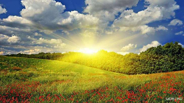 25 июня в Орле будет знойным и сухим