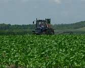 Расти свёкла большая и маленькая: орловские аграрии наращивают производство