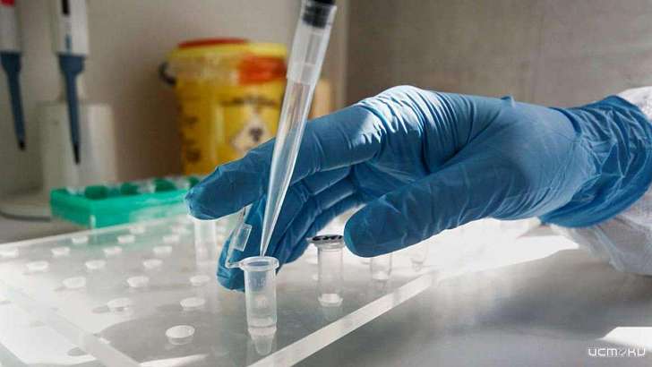 Более 17 тысяч орловчан сдали тест на коронавирус 