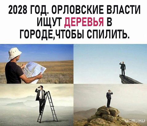 Орловчане возмущены планами вырубки деревьев на улице Горького