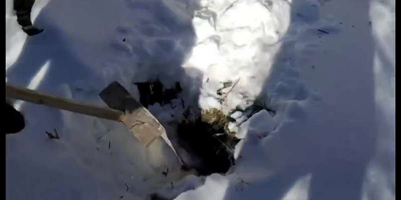 Зарплата 17 тыс. рублей, дыра в крыше и отсутствие туалета. Как работают медики в районах Орловской области?