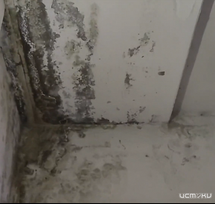 В Орле жителей 6 домов на Планерной затапливает осадками через дыры в крышах 