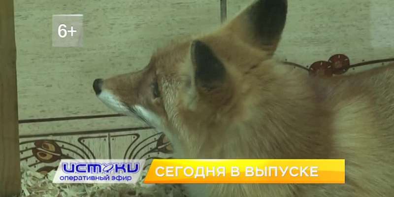 Сегодня в 19:00 смотрите очередной выпуск программы «Оперативный эфир»