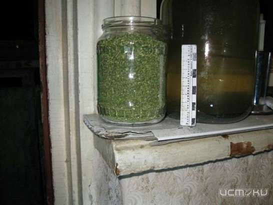 Дома у 30-летнего амчанина нашли почти 200 граммов марихуаны