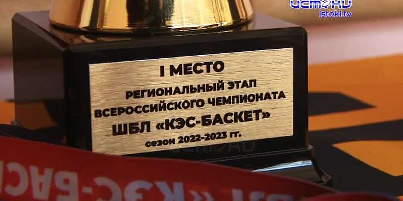 Трёхочковый. Региональный этап школьной лиги баскетбола «КЭС-БАСКЕТ» подошёл к концу. Кто взял путёвку на финал чемпионата ЦФО?