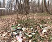 Новости за 90 секунд: 8- летняя девочка выпрыгнула из окна школы, в области проходит неделя прививок, а штат чиновников значительно поредеет