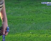 Лучшие друзья человека приняли участие в чемпионате и первенстве Орловской области по кинологическому спорту!