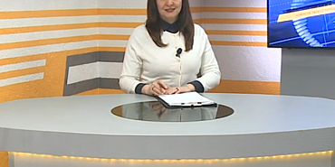 Семейная пара не может поделить детей, музей Мюнхаузена, парковка вместо исторического дома